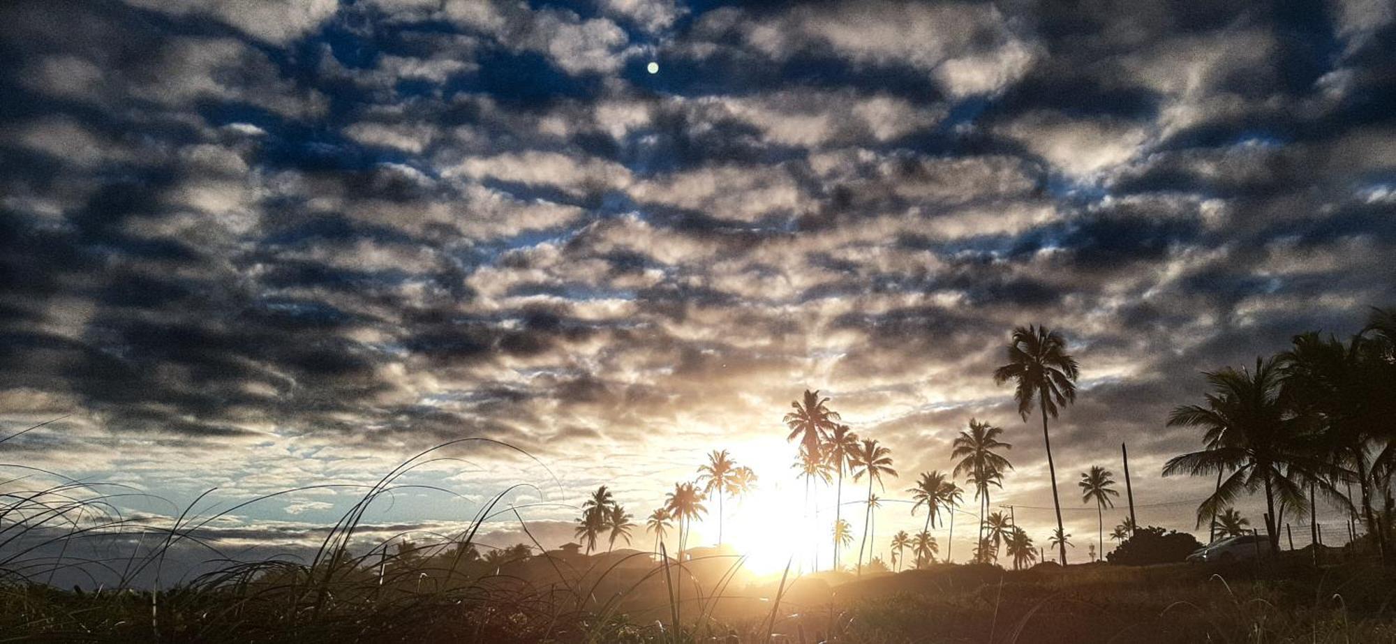 Chale Brisa Mar Pe Na Areia Em Barra Do Jacuipe Villa Camaçari Eksteriør bilde